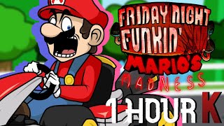 Race Traitors Remastered  Friday Night Funkin FULL SONG 1 HOUR [upl. by Yuhas]