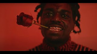 Kodak Black  Catch Fire Official Music Video [upl. by Asiram]