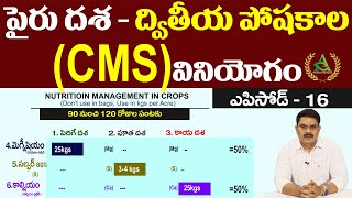 ఎపిసోడ్ 16  పైరు దశ  ద్వితీయ పోషకాలు CMS వినియోగం  Annapurna agri space  Agriculture in Telugu [upl. by Adliwa]