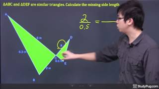 How to identify similar triangles [upl. by Llewsor]