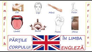 Partile Corpului in Limba Engleza  English Poliglot [upl. by Merwin]