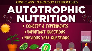 Autotrophic Nutrition in plants Lifeprocesses Class 10th Biology CBSE Syllabus Ncert class 10 [upl. by Greenwald]