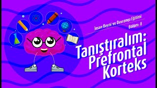 Beynin Yapısı ve Prefrontal Korteks  Bölüm 8 [upl. by Sams187]