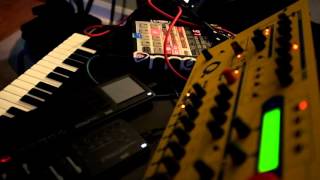 SP 303 Resampling method  4  Andy Ongulous [upl. by Iror]