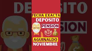 FECHAS de PAGO PENSION NOVIEMBRE IMSS e ISSSTE Viene con AGUINALDO incluidos BUENA NOTICIA ADULTOS💰🧓 [upl. by Theran843]