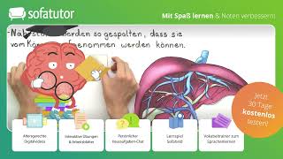 Organe des Menschen – Überblick einfach erklärt – Biologie 7 amp 8 Klasse [upl. by Vikky865]