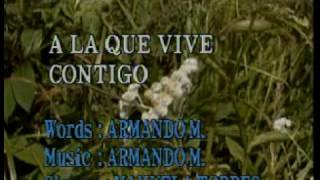 A la que vive contigo  Manuela Torres Karaoke [upl. by Ecinnej]