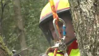 TREEGEAR TV  Pfanner Protos Integral Climbing Arborist Helmet [upl. by Odraode]