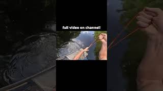 ⁠go watchWaterWoodsProductions bowfishing fishing mychannel youtube [upl. by Alessandro638]