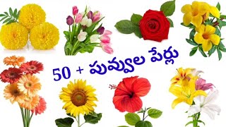 Flowers names  పువ్వుల పేర్లు English to Telugu flowers names [upl. by Keelin]