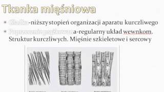 tkanka mięśniowa [upl. by Awe]