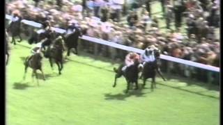 1975 Terrys All Gold Ebor Handicap [upl. by Clementas305]