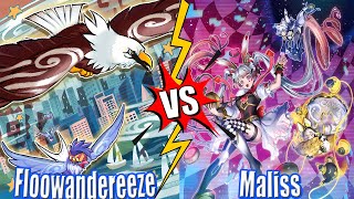 Floowandereeze vs Maliss  Newdeck DB YuGiOh 2024 [upl. by Kloster343]