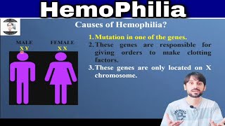 Hemophilia  Causes  Symptoms and Lab Diagnosis [upl. by Enilesoj104]