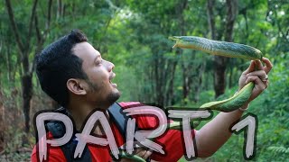 IDENTIFIKASI ULAR HIJAU GALAKPART 1 [upl. by Seagrave]