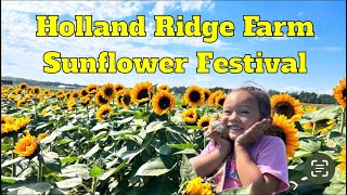 Holland Ridge Farm Sunflower Festival [upl. by Hicks]