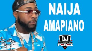 🔥TOP AFROBEAT AMAPIANO MIX  AFROBEAT MIX 2021  AMAPIANO MIX 2021  NAIJA  DJ PEREZDavidoFocalis [upl. by Adiesirb520]