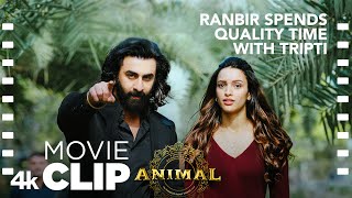 ANIMAL SCENE 20 Ranbir Spends Quality Time With Tripti  Ranbir K Tripti D Sandeep V Bhushan K [upl. by Ellehsyt]