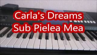 Carlas Dreams quotSub Pielea Meaquot Обучение [upl. by Kcirdled]