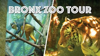 Bronx Zoo Tour Gorillas Lions Monorail Dinosaur Safari JungleWorld amp More [upl. by Rigby]