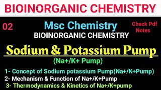 Sodium amp Potassium PumpNaKATPase bioinorganic mscchemistry bscchemistry itschemistrytime [upl. by Brandy]