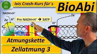 Atmungskette oxidative Phosphorylierung oder Endoxidation Zellatmung detailliert Abitur Biologie [upl. by Cary]