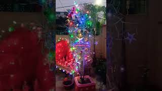 Christmas Eve ✨ viralshort viralvideo viralshorts viralvideos popular ₹viralshort subscribe [upl. by Coughlin]