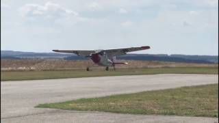 Cessna o1 L19 Bird Dog Airshow at Modelcity CZ [upl. by Booze]