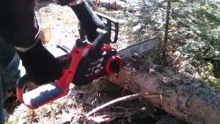 Best Electric Chainsaw in 2024  Top 5 Electric Chainsaws Review [upl. by Aretahs]