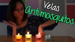 Como Hacer Velas Antimosquitos de Citronela  Caseras y Naturales  Catwalk [upl. by Sproul]