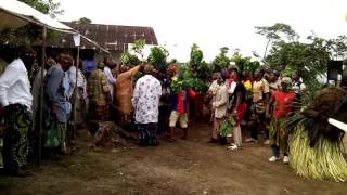 Coronation of a Mokpwe Bakweri Chief Part I Nganya Dance [upl. by Harras]