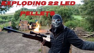 exploding 22 air rifle pellets Vs gas bottle [upl. by Priscilla]