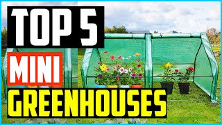 Top 5 Best Mini Greenhouses in 2024 [upl. by Nira533]