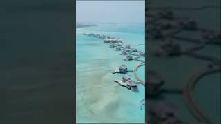 Best resorts to visit during the winter season  Soneva Jani maldives travel maldivesbeachresort [upl. by Anirbys849]