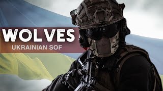 quotWOLVESquot  Ukrainian Elite Special Forces [upl. by Abe68]