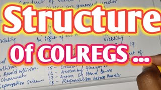 Structure OF COLREGS [upl. by Holmes]