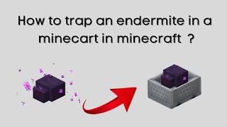 How to trap an endermite in a minecart  117 [upl. by Evadne]