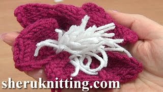 Knitted Flower With Stamens Tutorial 9 Knitting Flowers [upl. by Ytsirt]