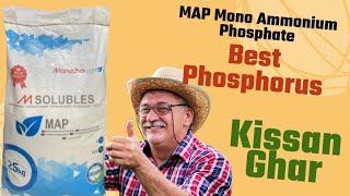 Best Phosphorus  MAP Mono Ammonium Phosphate  Manuachar Agro  Usage And Benefits  Kisan Ghar [upl. by Natsirt]