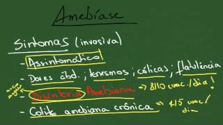 Amebíase  Resumo  Parasitologia [upl. by Thursby510]