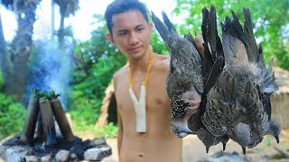 Primitive Technology with Survival Skills Hunting Birds  Dove  Cooking For Food [upl. by Mosira]