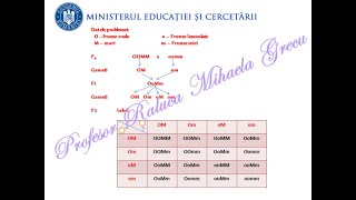 PROBLEME GENETICĂ DIHIBRIDARE REZOLVATE PAS CU PAS  BAC BIOLOGIE VEGETALA SI ANIMALA [upl. by El]