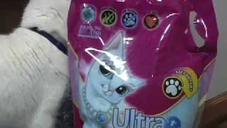 Ultra Micro Crystals Kitty Litter [upl. by Naujid]