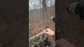 The best time is snack time deerhunter hunting bowhuntingwhitetails deerhunting [upl. by O'Toole406]