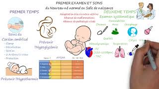 PREMIER EXAMEN ET SOINS DU NOUVEAUNE NORMAL EN SALLE DE NAISSANCE [upl. by Weinstock962]