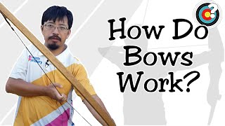 Archery  How Do Bows Work [upl. by Rasecoiluj]