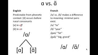 Phonemeallophone examples [upl. by Ricki]