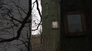 Explore Ladderedge Country Park Beautiful Walks Condensed into 1 Minute EnglishCountryside [upl. by Tod]