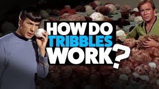 How do Tribbles Work Star Trek Theory [upl. by Garlen]