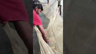 Today there are big fish in the net bdfishingbarisal fishspecies shorts shortvideo [upl. by Mano417]